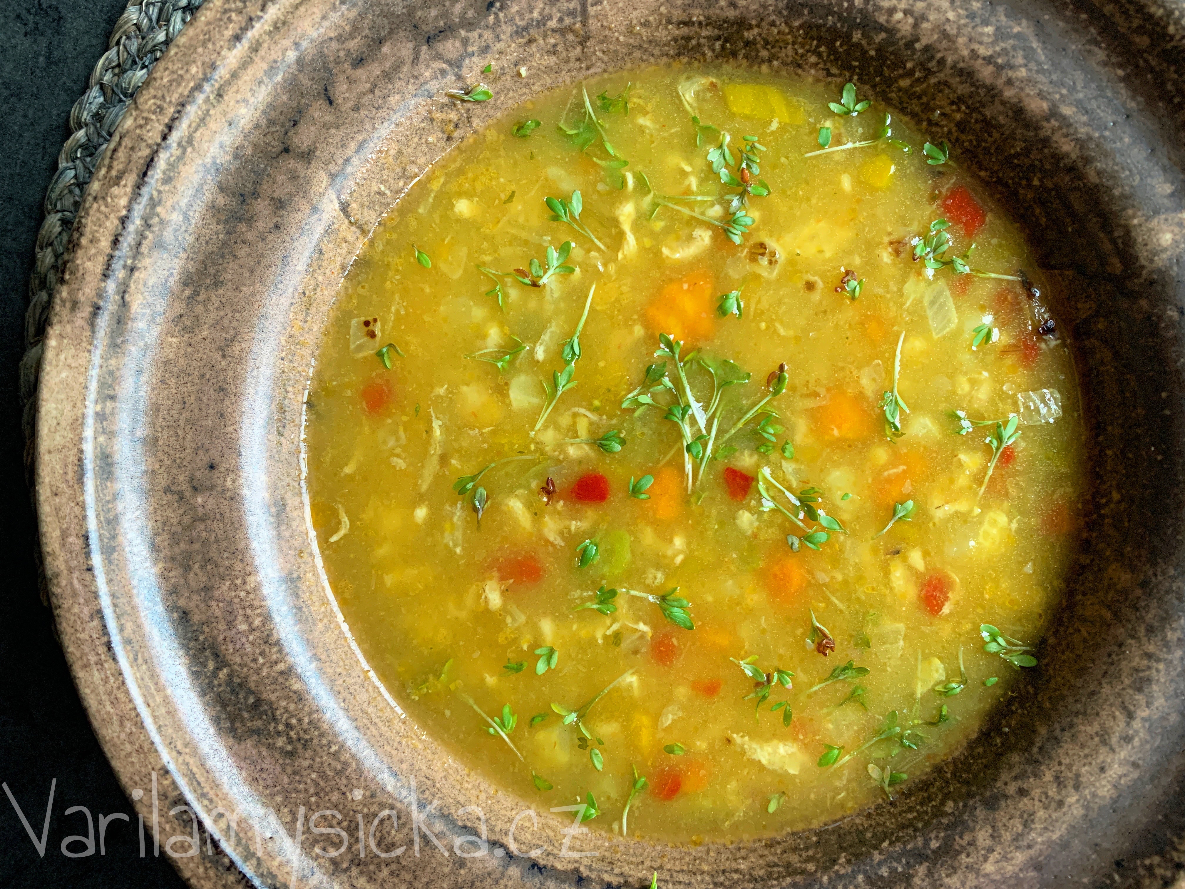 Zeleninová polévka s ovesnými vločkami